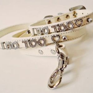 Wedding Log Leash & Collar